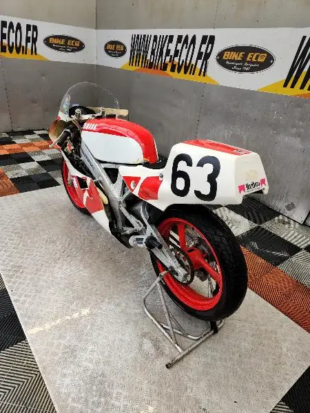 TZ 250