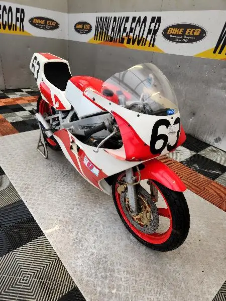 TZ 250