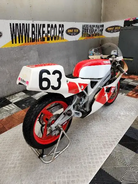 TZ 250