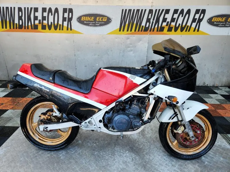 RG GAMMA 250