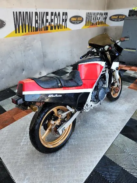 RG GAMMA 250
