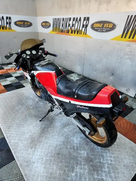 RG GAMMA 250