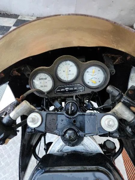 RG GAMMA 250