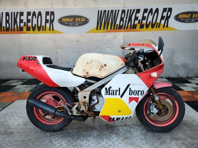 YSR 50