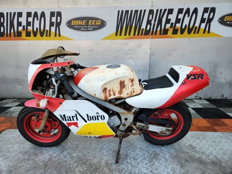 YSR 50