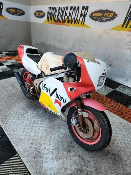 YSR 50