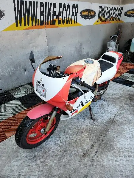 YSR 50