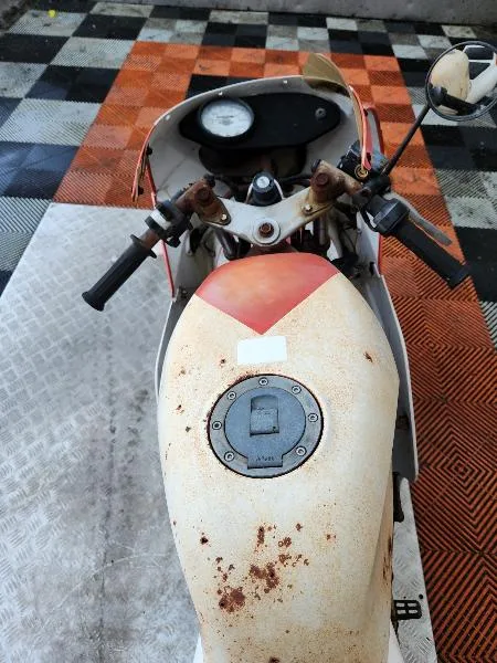 YSR 50