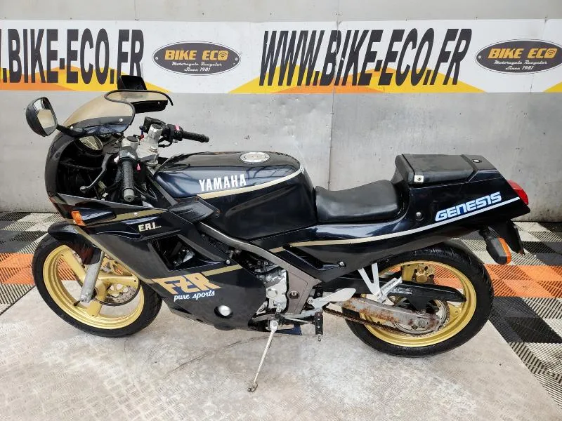 FZR 250