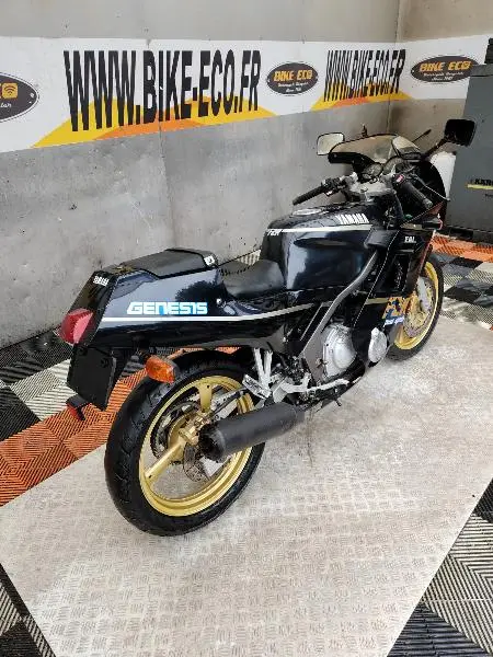 FZR 250