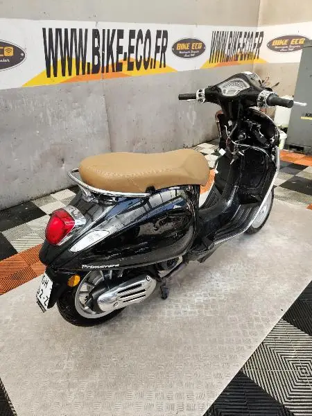 PRIMAVERA 50