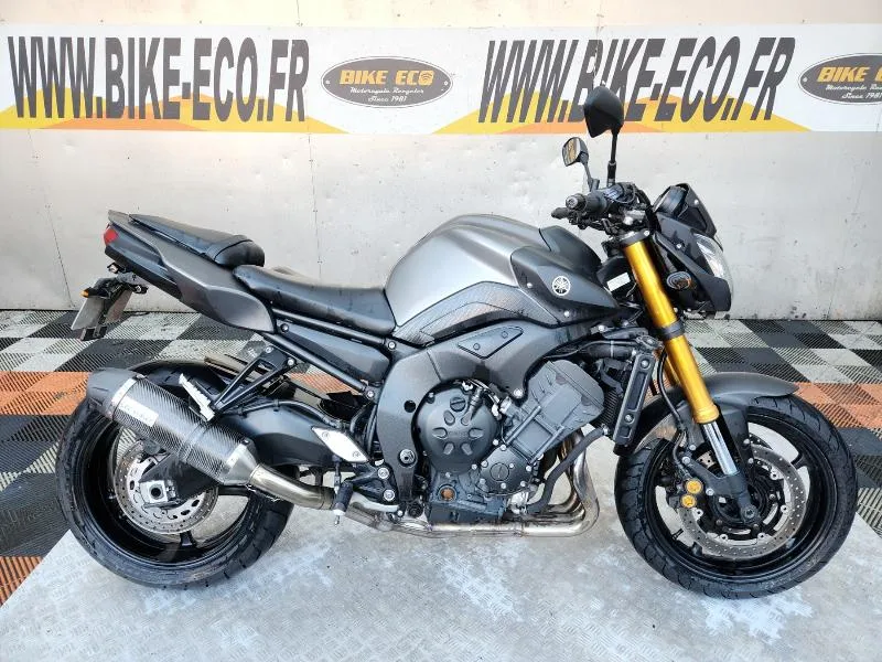 FZ8 2013