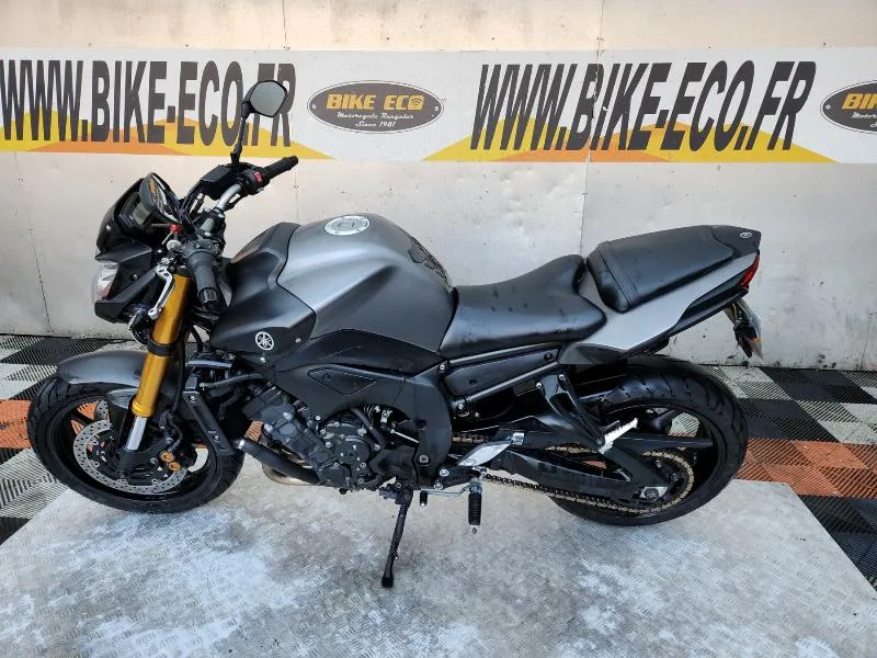 FZ8