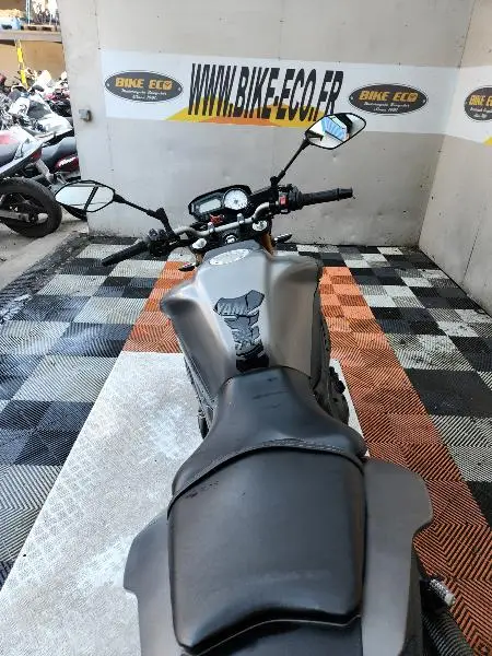 FZ8