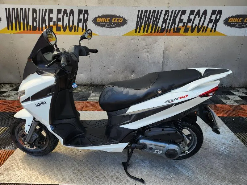 SXR 50