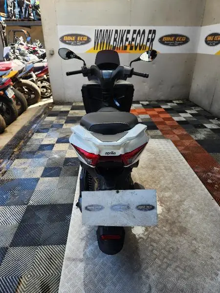 SXR 50