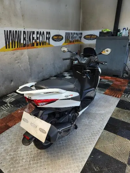 SXR 50