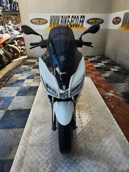 SXR 50