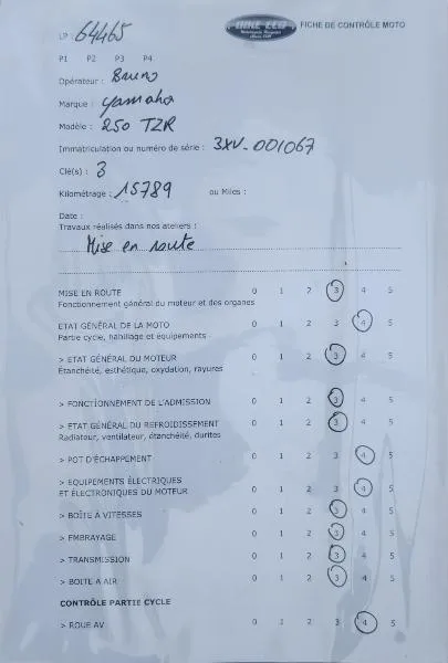 TZR 250