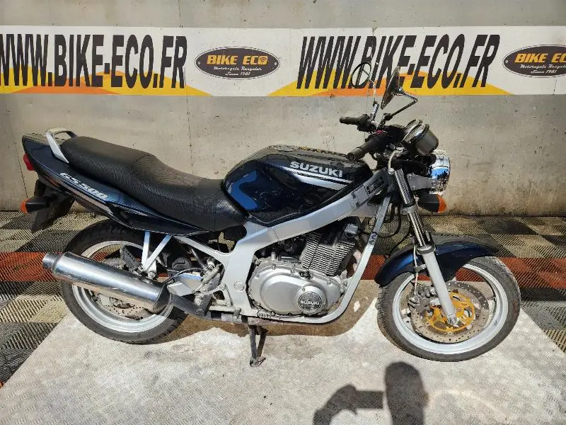GS 500 E