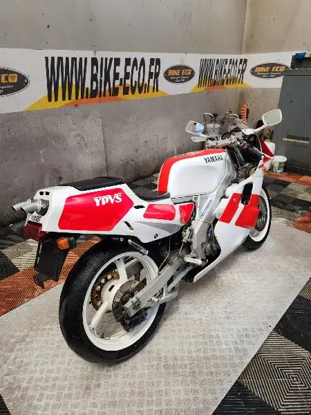 TZR 250