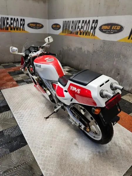 TZR 250