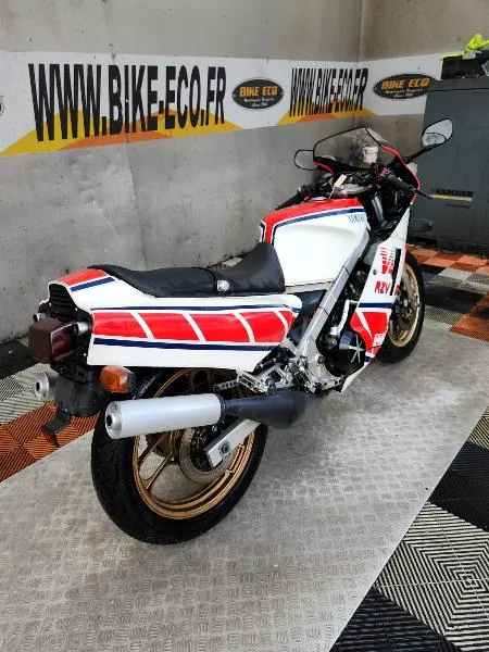RDLC 500