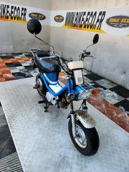 CHAPPY 50