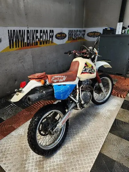 XR600