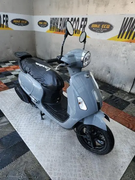 FIDDLE 50