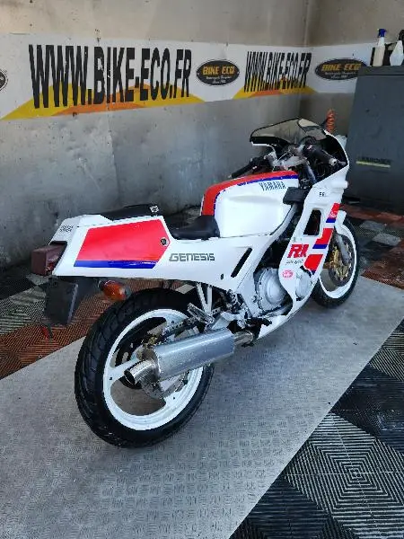 FZR 250