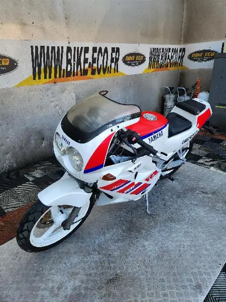 FZR 250