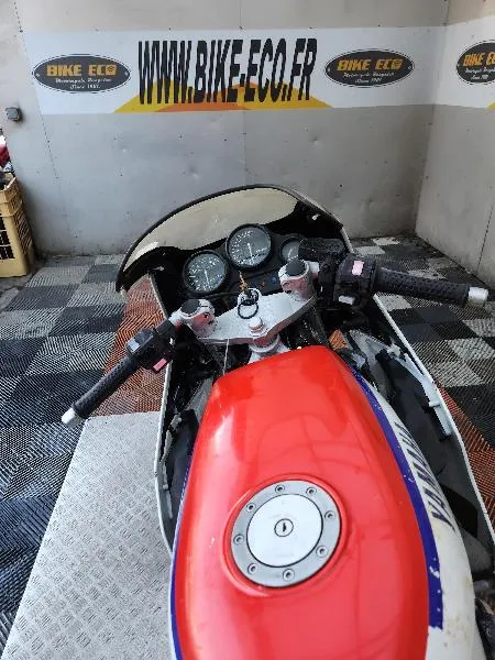 FZR 250