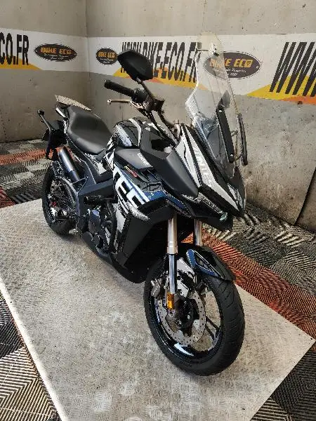 310 X