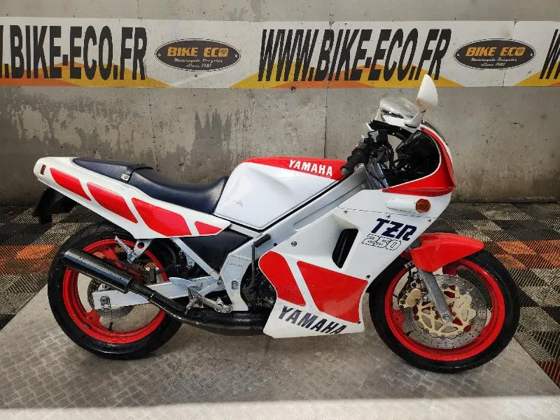 TZR 250