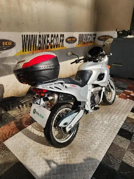 PEGASO 650