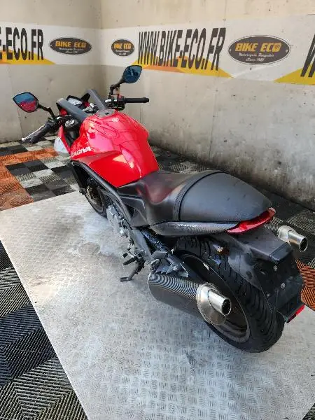 RAPTOR 1000