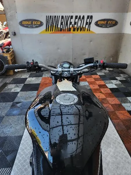 FZS FAZER