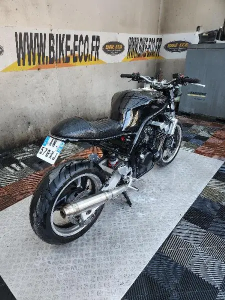 FZS FAZER