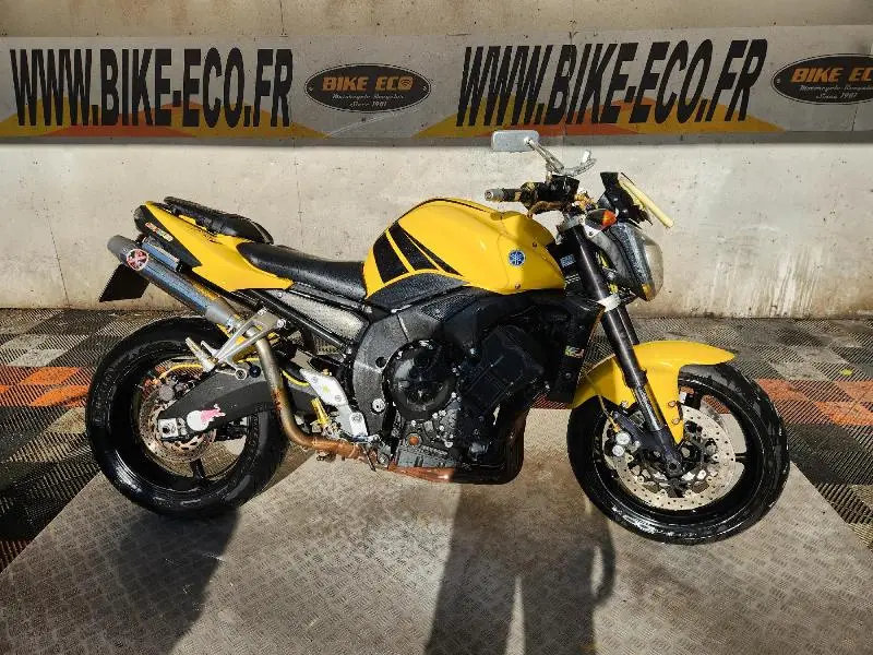 FZ1