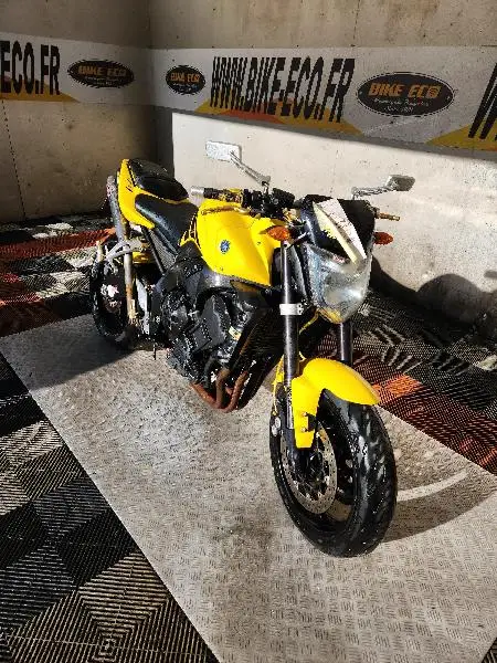 FZ1