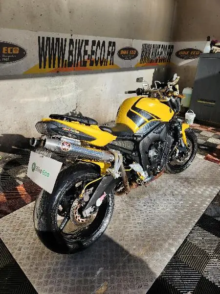 FZ1