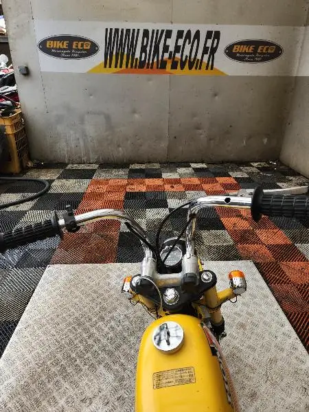 MONKEY 50
