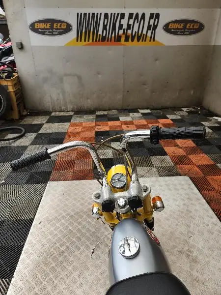 MONKEY 50