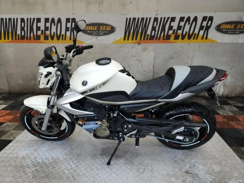XJ6N