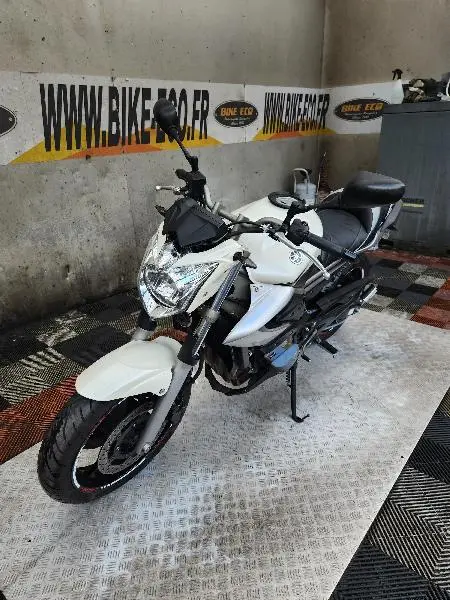 XJ6N