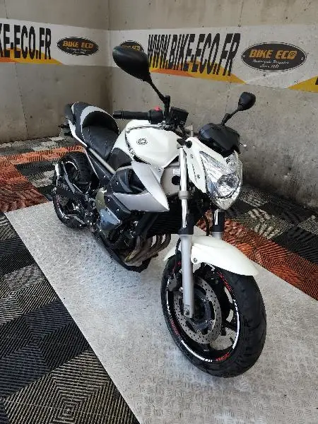 XJ6N