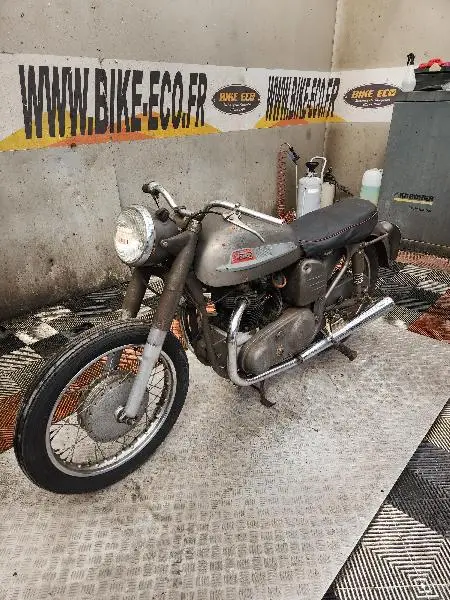 DOMINATOR