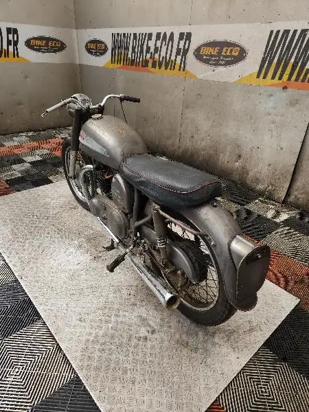 DOMINATOR
