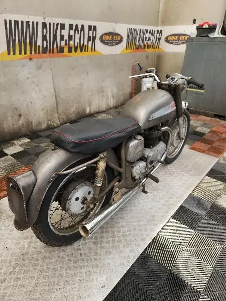 DOMINATOR
